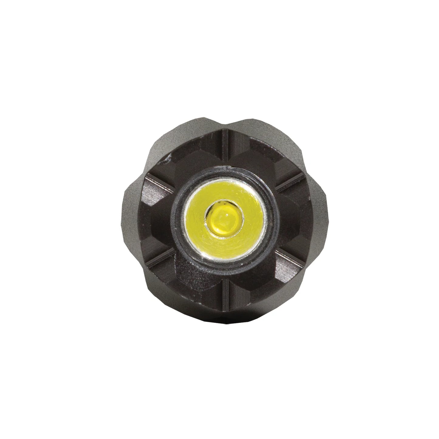 100 Lumens Mini Flashlight